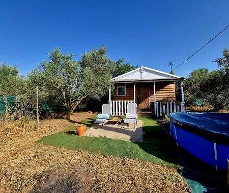 Un Chalet Dans Les Oliviers 3 Nuits Mini Nîmes Eksteriør billede